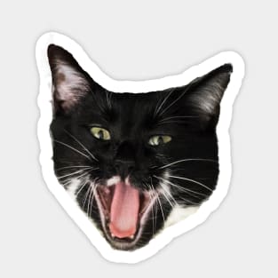 Happy Cat Sticker